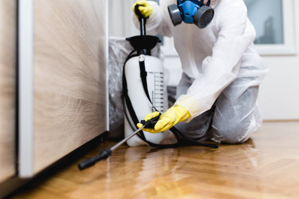 Best Emergency Pest Control  in Iona, FL