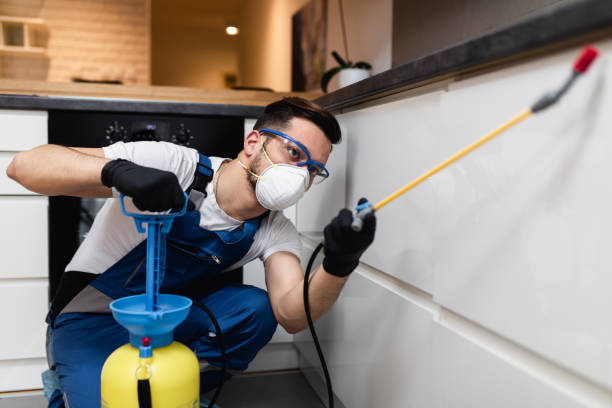 Best Bed Bug Extermination  in Iona, FL