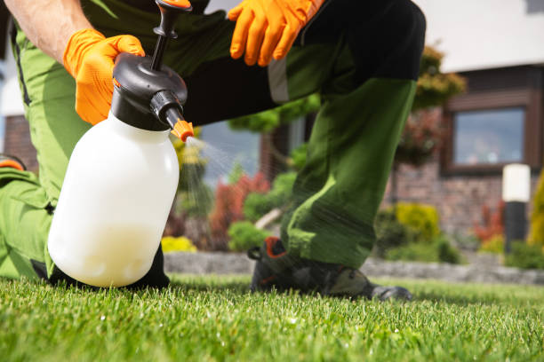 Best Commercial Pest Control Services  in Iona, FL