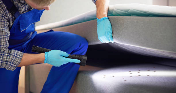 Flea Control Services in Iona, FL