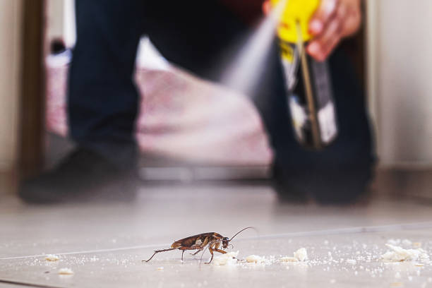 Best Pest Prevention Services  in Iona, FL