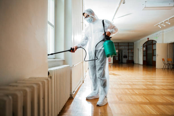 Best Termite Control Services  in Iona, FL