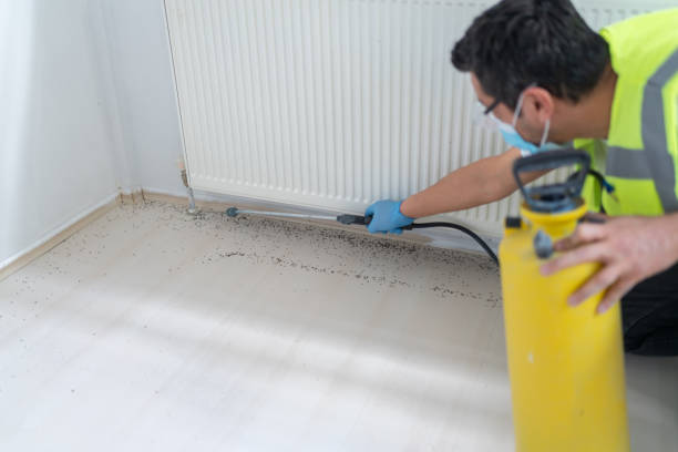 Best Affordable Pest Control Services  in Iona, FL