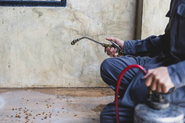 Best Pest Removal Services  in Iona, FL