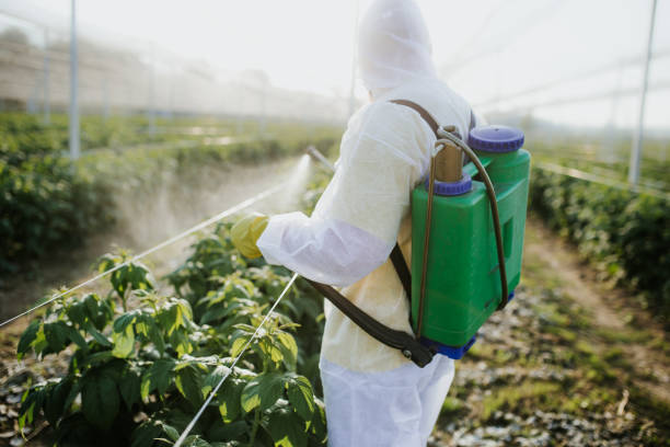 Best Best Pest Control Companies  in Iona, FL